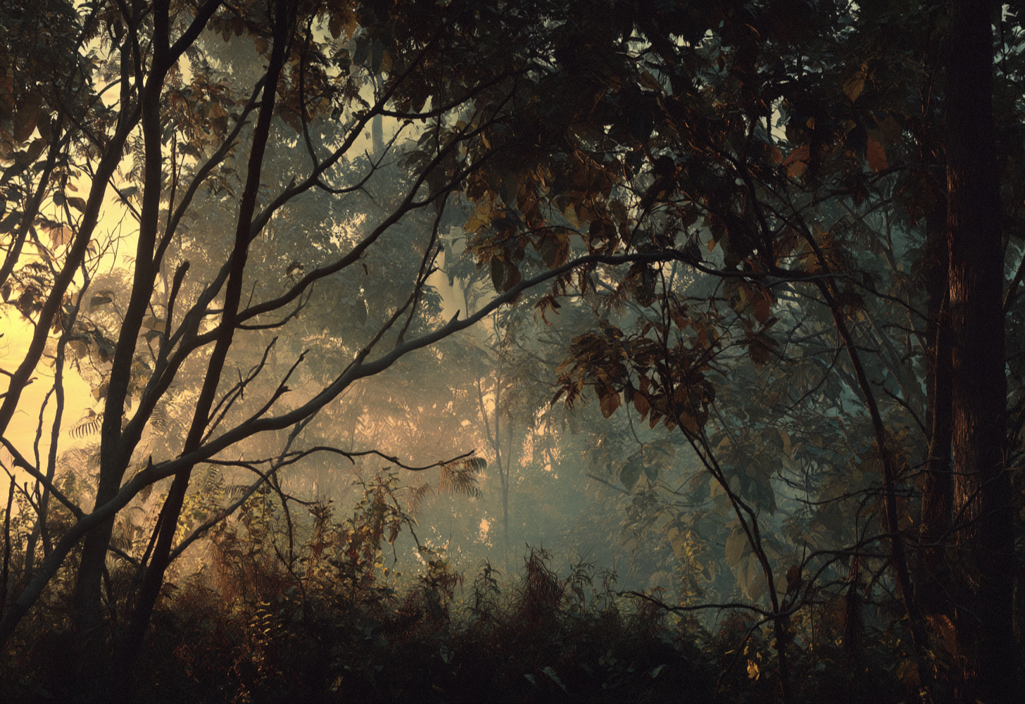 PHANTOM WOODS