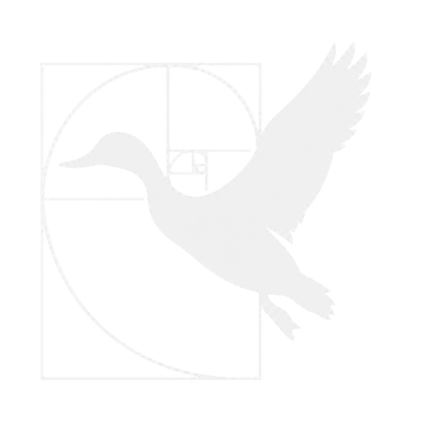 Ducky Decoy